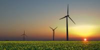 How many forms of energy can you identify in this photograph of a wind farm in Sandesneben, Germany?