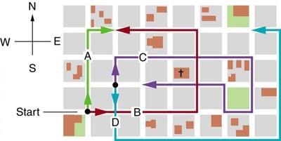 <b>Figure 3.56:</b> The various lines represent paths taken by different people walking in a city. All blocks are 120 m on a side.