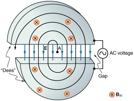 <b>Figure 22.64</b> Cyclotrons accelerate charged particles orbiting in a magnetic field by placing an AC voltage on the metal Dees, between which the particles move, so that energy is added twice each orbit.