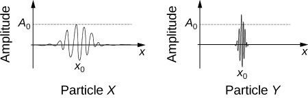 <b>Figure 30.66</b> The amplitude of the wave function along the x-axis for two different particles.