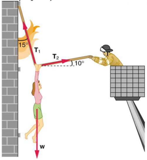 <b>Figure 4.40</b> The force T_2 need to hold steady the person being rescued from the fire is less than her weight and less than the force T_1 in the other rope, since the more vertical rope supports a greater part of her weight (a vertical force).