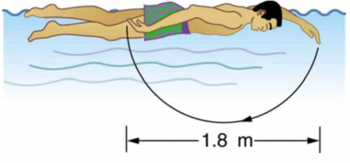 <b>Figure 7.44</b> A swimmer