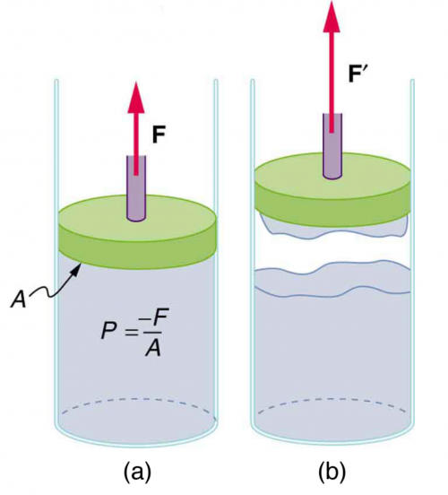 <b>Figure 11.43</b> (a) When the piston is raised, it stretches the liquid slightly, putting it under tension and creating a negative absolute pressure P = −F / A (b) The liquid eventually separates, giving an experimental limit to negative pressure in this liquid.