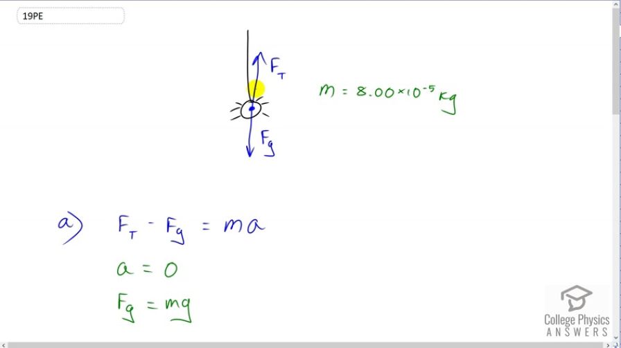 OpenStax College Physics, Chapter 4, Problem 19 (PE) video thumbnail