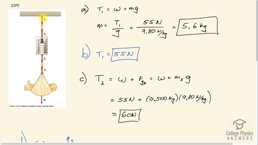 OpenStax College Physics, Chapter 4, Problem 22 (PE) video thumbnail