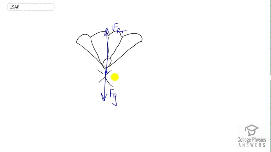 OpenStax College Physics, Chapter 7, Problem 15 (AP) video thumbnail