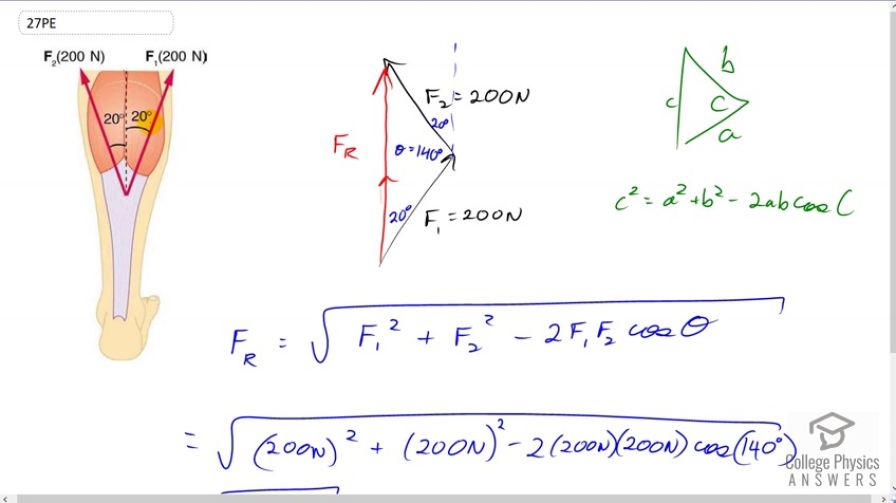 OpenStax College Physics, Chapter 9, Problem 27 (PE) video thumbnail