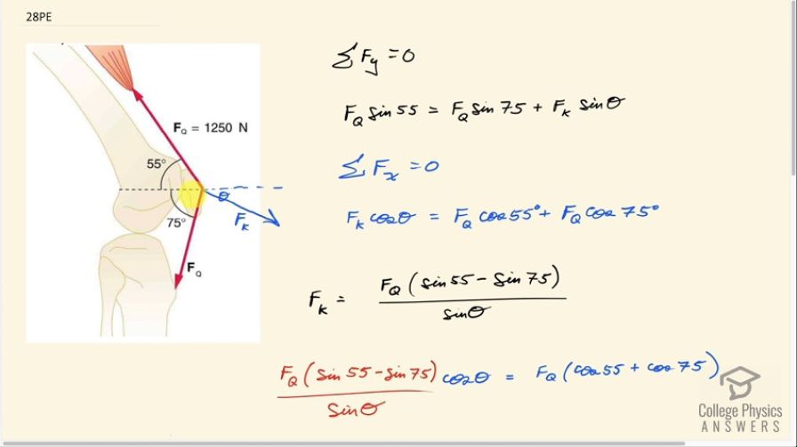 OpenStax College Physics, Chapter 9, Problem 28 (PE) video thumbnail