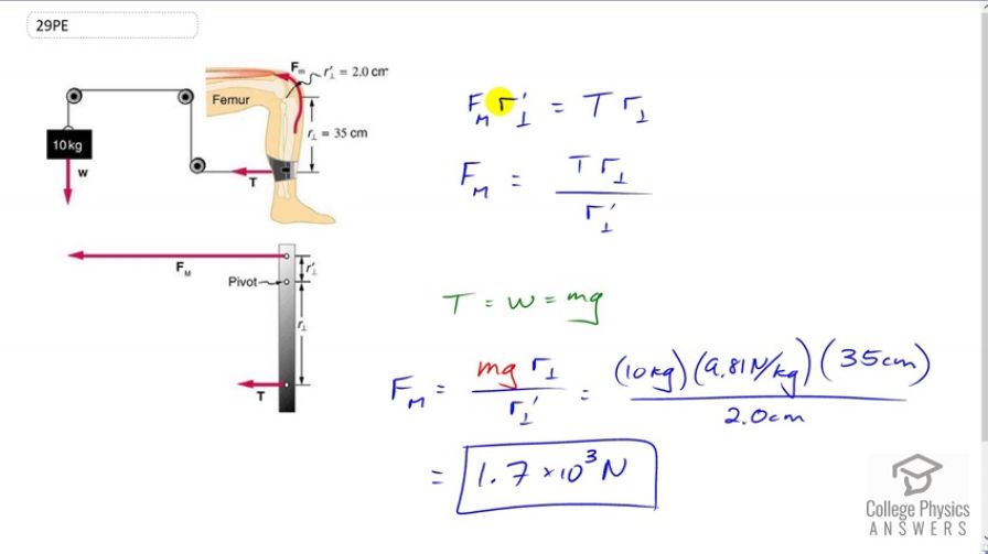 OpenStax College Physics, Chapter 9, Problem 29 (PE) video thumbnail