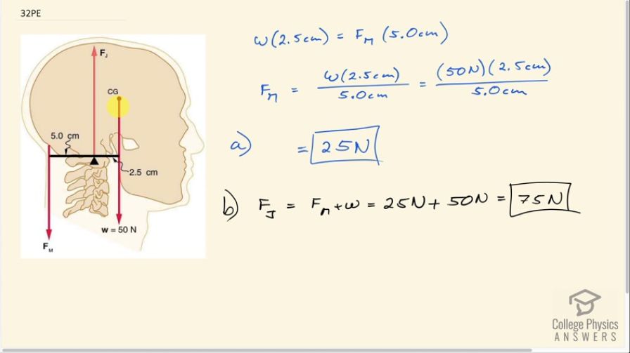 OpenStax College Physics, Chapter 9, Problem 32 (PE) video thumbnail