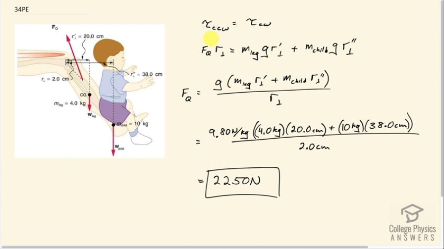 OpenStax College Physics, Chapter 9, Problem 34 (PE) video thumbnail