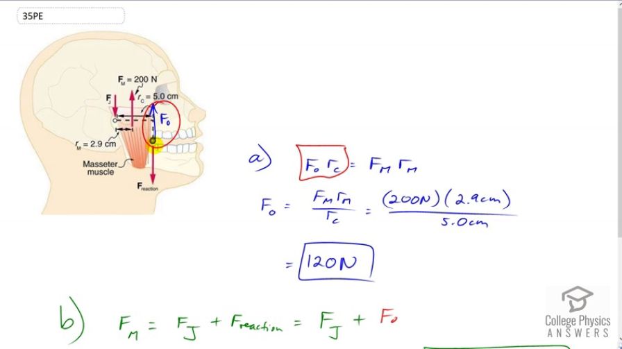 OpenStax College Physics, Chapter 9, Problem 35 (PE) video thumbnail