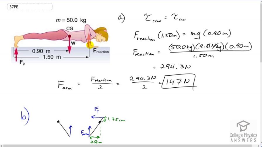 OpenStax College Physics, Chapter 9, Problem 37 (PE) video thumbnail