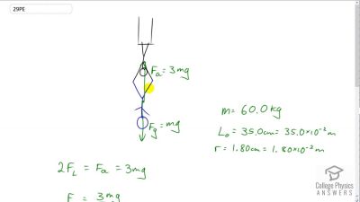 OpenStax College Physics Answers, Chapter 5, Problem 29 video poster image.