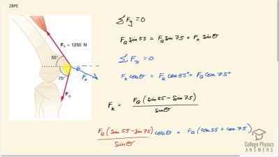 OpenStax College Physics Answers, Chapter 9, Problem 28 video poster image.
