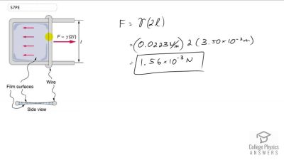 OpenStax College Physics Answers, Chapter 11, Problem 57 video poster image.